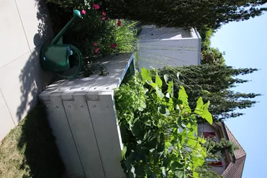 Hochbeet mit Holzstruktur Typ 2 naturgrau strukturiert leicht gefast bewehrt L 234 cm B 120 cm H 75 cm W 6 cm