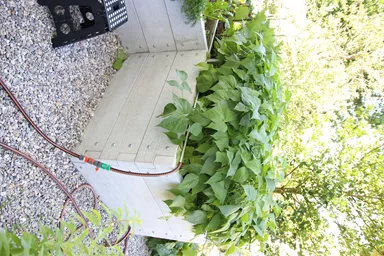 Hochbeet mit Holzstruktur Typ 2 naturgrau strukturiert leicht gefast bewehrt L 234 cm B 120 cm H 75 cm W 6 cm