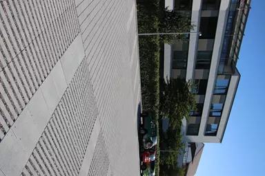 RAINA Rasenliner mit Verschiebesicherung grau glatt L 60 cm B 40 cm H 10 cm