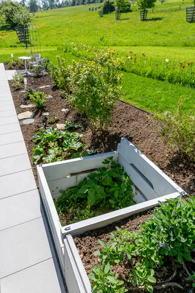 Kompostbehälter einzelnes Brett L 160 cm B 5.5 cm H 25 cm