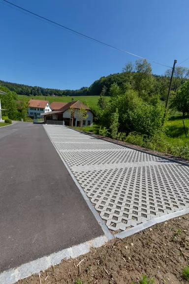 GRISON Rasengitterstein mit Nocken grau glatt L 60.2 cm B 40.2 cm H 8 cm