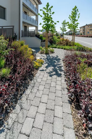 TEGULA Pflasterstein grau glatt Kanten gebrochen L 16 cm B 11 cm H 6 cm