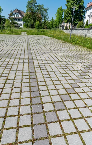 CLASSIC RASEN Ökostein mit Nocken grau glatt gefast L 20 cm B 20 cm H 8 cm