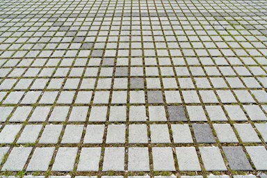 CLASSIC RASEN Ökostein mit Nocken grau glatt gefast L 20 cm B 20 cm H 8 cm