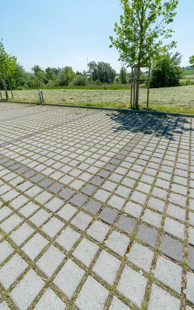 CLASSIC RASEN Ökostein mit Nocken grau glatt gefast L 20 cm B 20 cm H 8 cm