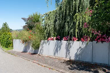 Betonbrett gegossen leicht bewehrt grau glatt vollkantig L 150 cm B 4 cm H 30 cm