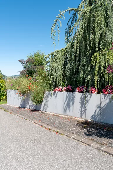 Betonbrett gegossen leicht bewehrt grau glatt vollkantig L 150 cm B 4 cm H 30 cm