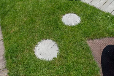 LENIA Schrittplatte rund mit Holzstruktur naturgrau strukturiert gerundet D 35-37.5 cm H 4 cm