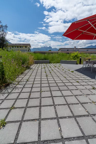 CARENA RASEN Ökostein mit Nocken grau glatt gefast L 25 cm B 25 cm H 8 cm