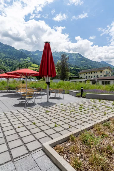 CARENA RASEN Ökostein mit Nocken grau glatt gefast L 25 cm B 25 cm H 8 cm