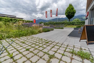 CARENA RASEN Ökostein mit Nocken grau glatt gefast L 25 cm B 25 cm H 8 cm