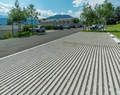 RAINA Rasenliner mit Verschiebesicherung grau glatt L 60 cm B 40 cm H 10 cm