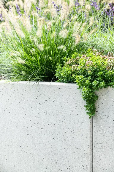 ROZTEC Winkelplatten Typ Midi bewehrt grau gestrahlt gefast L 100 cm B 60 cm H 100 cm W 9 cm