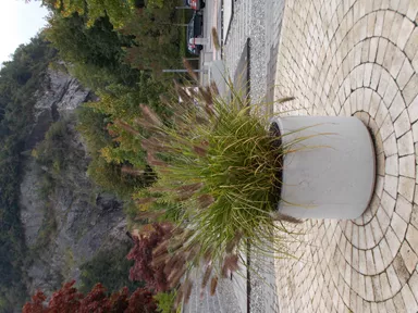 PARCO Pflanzentrog rund grau glatt OD 50 cm H 40 cm W 4 cm R 25 cm