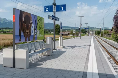 CARENA Sicherheitslinienpflasterstein Typ S Seitenstein mit Nockenverbund weiss mit 6 taktilen Linien L 37.5 cm B 25 cm H 8.4 cm