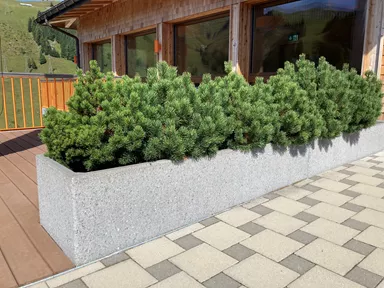 PARCO Pflanzentrog rechteckig grau gestrahlt L 200 cm B 50 cm H 50 cm W 5 cm