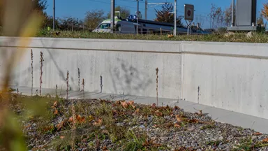 Amphibienleitsystemelement mit Klettersperre und Elementverbund bewehrt gefast grau L 300 cm B 50 cm H 55 cm W 8 cm