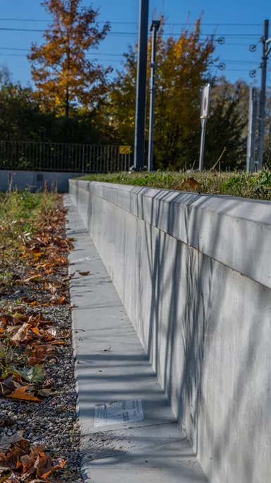 Amphibienleitsystemelement mit Klettersperre und Elementverbund bewehrt gefast grau L 300 cm B 50 cm H 55 cm W 8 cm