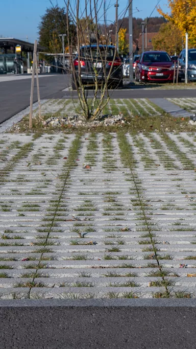 RAINA Rasenliner mit Verschiebesicherung grau glatt L 60 cm B 40 cm H 10 cm