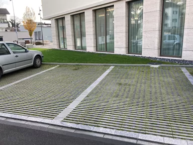 RAINA Rasenliner mit Verschiebesicherung grau glatt L 60 cm B 40 cm H 10 cm