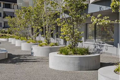 ARBOSO Sitzbankelement rund grau glatt vollkantig ohne Boden D 224 cm H 60 cm