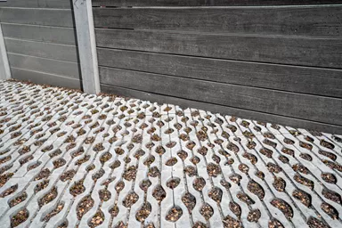 SENTONI Rasengitterstein mit Nocken grau glatt L 60 cm B 40 cm H 10 cm