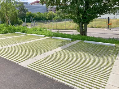 RAINA Rasenliner mit Verschiebesicherung grau glatt L 60 cm B 40 cm H 10 cm