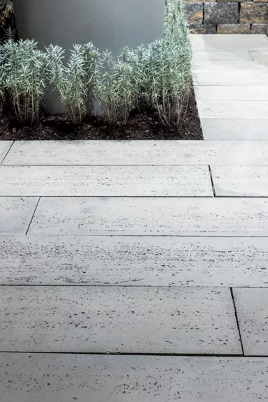 LENIA Gartenplatte mit Holzstruktur Normalplatte naturgrau strukturiert gerundet L 88-89 cm B 24.5-25.5 cm H 5 cm