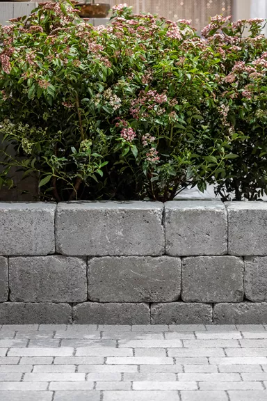 CUATRO Mauersteine Kanten gebrochen naturgrau L 20-35 cm B 25 cm H 15 cm