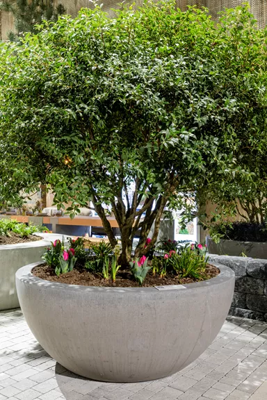 RONDO Pflanzenschale grau gestrahlt gefast OD 90 - 150 cm, H 60 cm W 10 cm