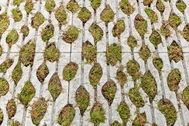 SENTONI Rasengitterstein mit Nocken grau glatt L 60 cm B 40 cm H 10 cm