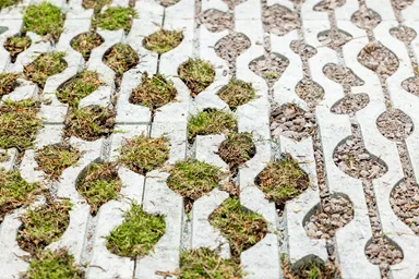 SENTONI Rasengitterstein mit Nocken grau glatt L 60 cm B 40 cm H 10 cm