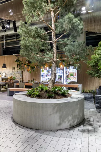 ARBOSO Sitzbankelement rund grau glatt vollkantig mit Boden D 224 cm H 60 cm