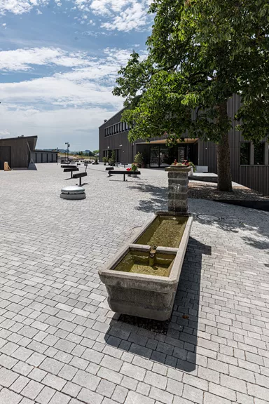 FRIEDA Wildpflaster perlgrau strukturiert Kanten gebr. L 9.4-19.4 cm B 9.4-11.9 cm H 7 cm