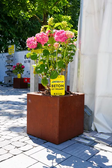 FERRO CONCRETE Pflanzentrog quadratisch Rost glatt L 50 cm B 50 cm H 50 cm W 5 cm