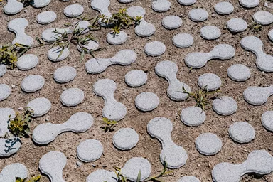 LUNIX Rasengitterstein grau glatt L 53.2 cm 39.9 cm H 12 cm