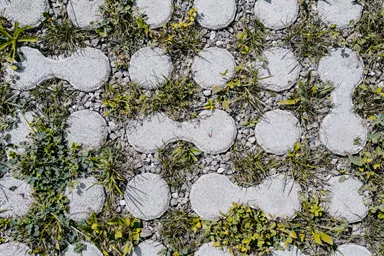 LUNIX Rasengitterstein grau glatt L 53.2 cm 39.9 cm H 12 cm