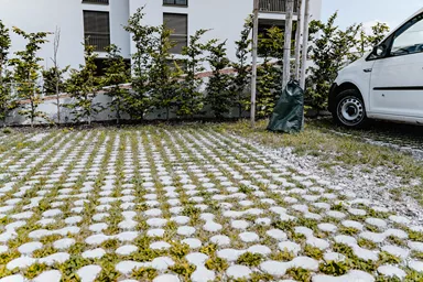 LUNIX Rasengitterstein grau glatt L 53.2 cm 39.9 cm H 12 cm