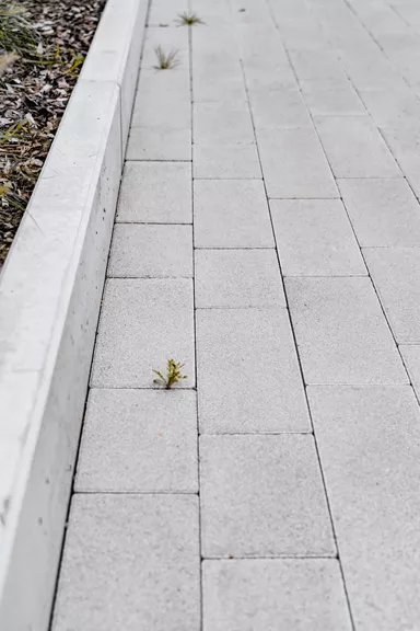 RAINA Pflasterstein grau glatt leicht gefast L 20-40 cm B 15 cm H 8 cm