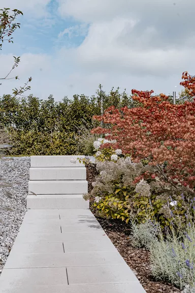 PARADISO Blockstufe argento gestrahlt gefast L 100 cm B 40 cm H 17 cm