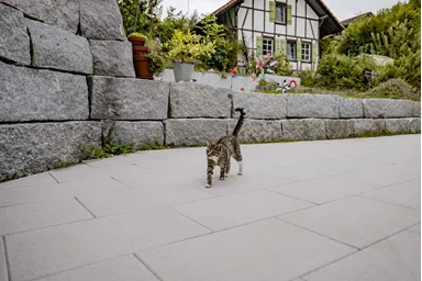 GLORIA Gehwegplatte SILVER gestrahlt gefast L 60 cm B 40 cm H 4 cm