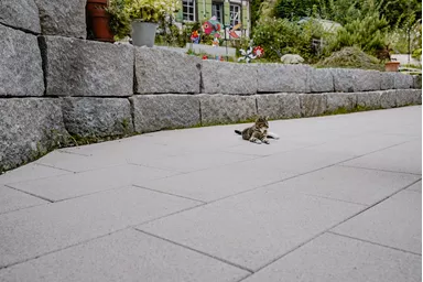 GLORIA Gehwegplatte SILVER gestrahlt gefast L 60 cm B 40 cm H 4 cm