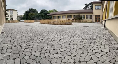 ARENA VISTA Pflasterstein perlgrau strukturiert Kanten gebr. L 6.5 - 23.8 cm B 8.3 - 16.4 cm H 7 cm