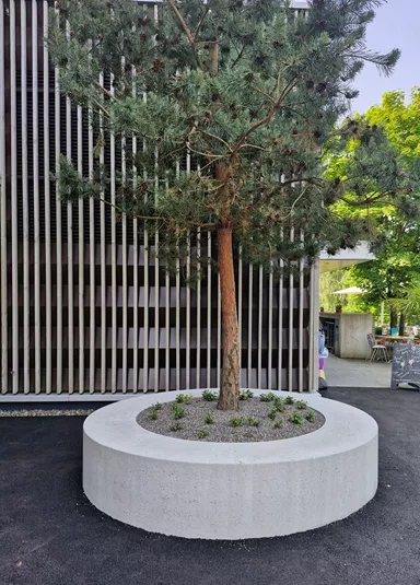 ARBOSO Sitzbankelement rund grau gestrahlt vollkantig ohne Boden D 224 cm H 60 cm