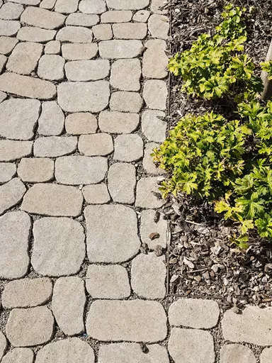 ARENA VISTA Pflasterstein jurakalk strukturiert Kanten gebr. L 6.5 - 21.9 cm B 8.6 - 12.2 cm H 7 cm