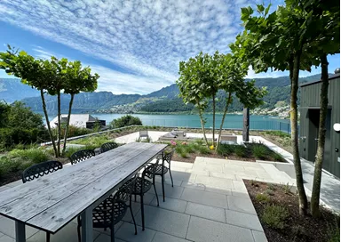 FINALGO Vakuum Gehwegplatte grau gestrahlt gefast L 80 cm B 40 cm H 4 cm