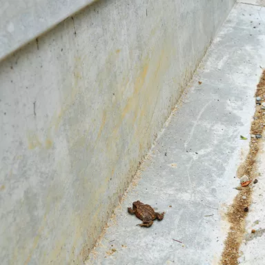 Amphibienleitsystemelemente