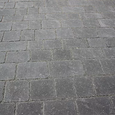 FRIEDA<sup>®</sup> Wildpflaster