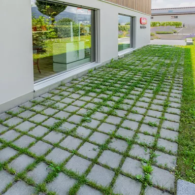 CARENA<sup>®</sup> RASEN Ökosteine gefast