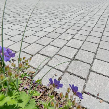 FRIEDA<sup>®</sup> DRAIN Ökosteine Kanten gebrochen